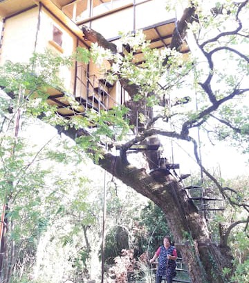 San Giovanni a Piro Other | CASA SULL'ALBERO CON VISTA SUL GOLFO NEL CILENTO.