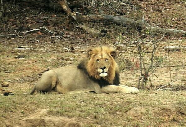 Marloth Park House | Marloth Park next to Kruger National Park S A