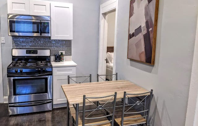 Heart of Chicago Apartment | GOATHOTE | NEW 1/1 APT | ARTSY PILSEN NEIGHBORHOOD