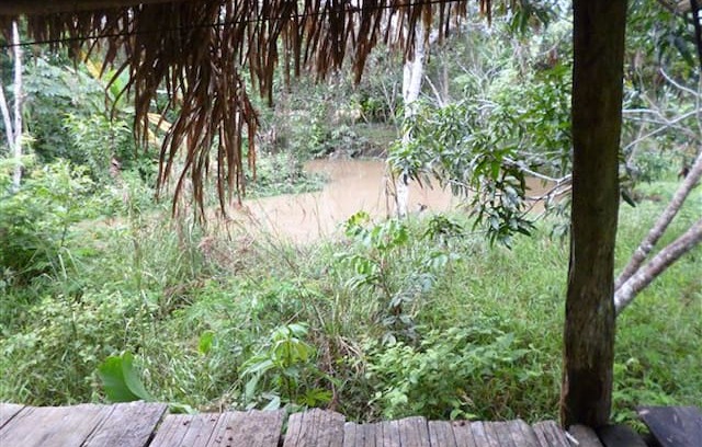 San Juan Bautista Cabin | AMAZON JUNGLE HUT