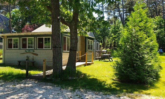 Pleasant Point Cabin | Pine Lodge - spacious and dog friendly!