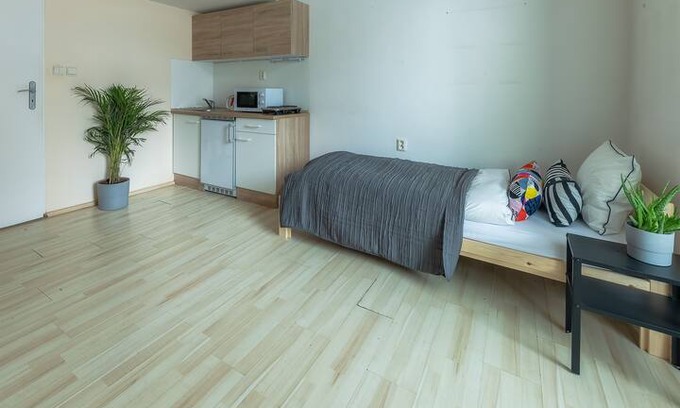 Brno-stred Apartment | Levné ubytování v centru Brna - D107
