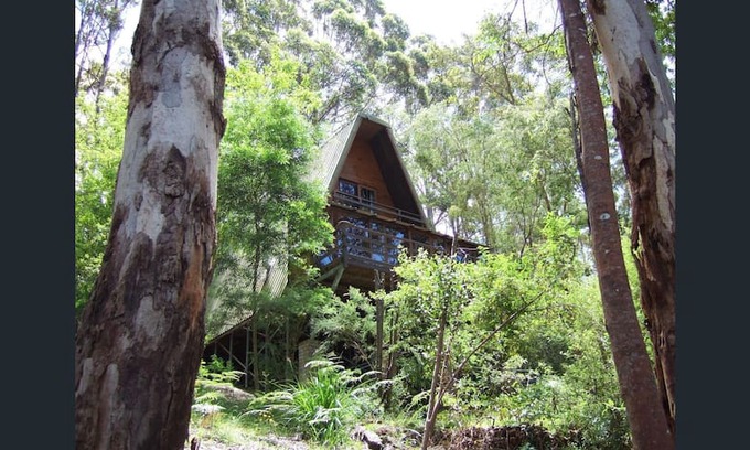 Denmark Villa | Treetops (Denmark)