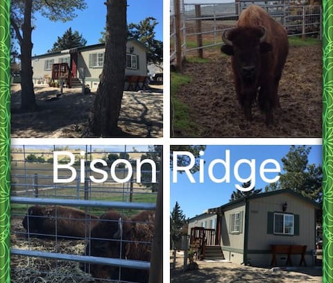 San Miguel Cabin | Bison Ridge