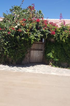 Mulege Bed & Breakfast | Clementines Room