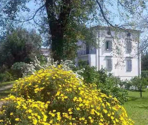Teano Villa | Villa Lonardo B&B