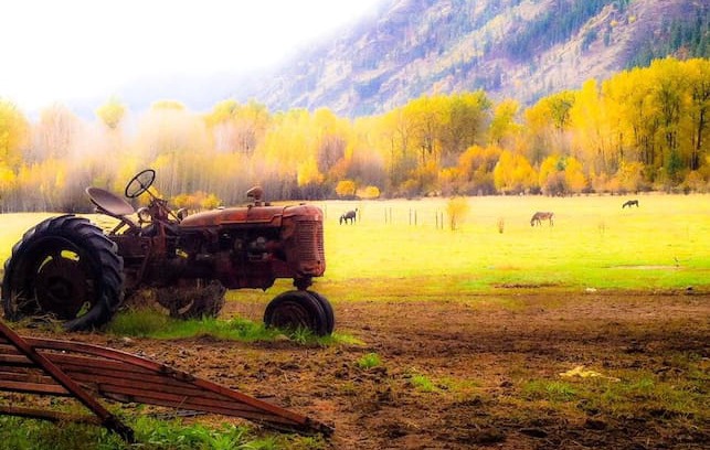 Ardenvoir Cabin | Tyee Ranch, A Rustic Getaway!