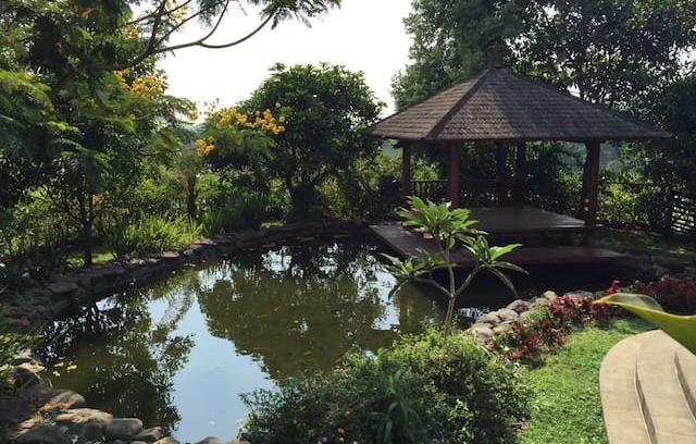 Cijeruk Villa | The Pitaya Farm/Villa