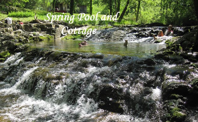 Bruno Cabin | Clearsprings Cottage - water destination property