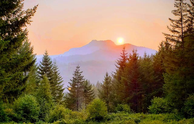 Stevenson Cabin | Skamania Skedaddle (hidden gem in the Gorge)