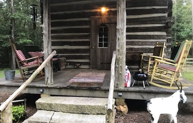Greensboro Other | Got Cabin Fever? - The Cheerful Chicken