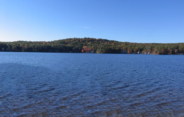 Fiskdale Cabin | Charming Lakefront Cottage on Big Alum Lake