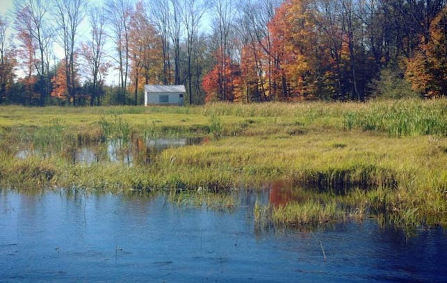 Omemee Other | Little Cabin on the Marsh
