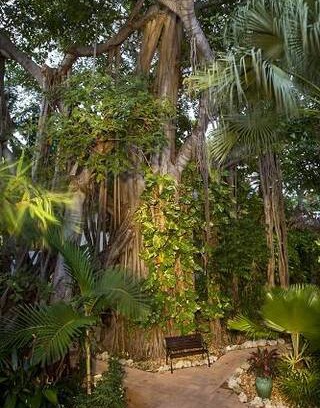 Bahama Village Resort | 1BR #405 Banyan Resort Key West, FL