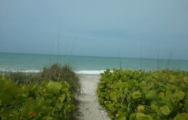Englewood Apartment | Turtle Bay Condos #1-D Manasota Key