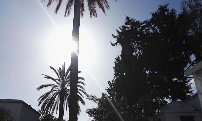 Zeytinlik Apartment | Cyprus Village House - enjoy yourself!