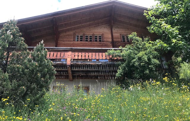 Hasliberg Villa | Cozy Hasliberg Chalet