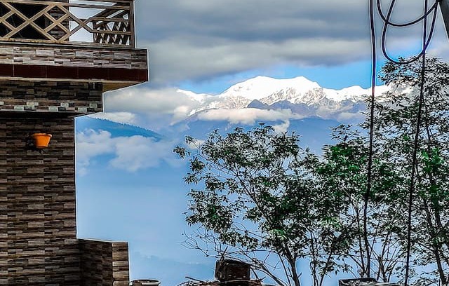 Pelling Hotel | The Ace Pine Valley Pelling, Sikkim-Standard Room