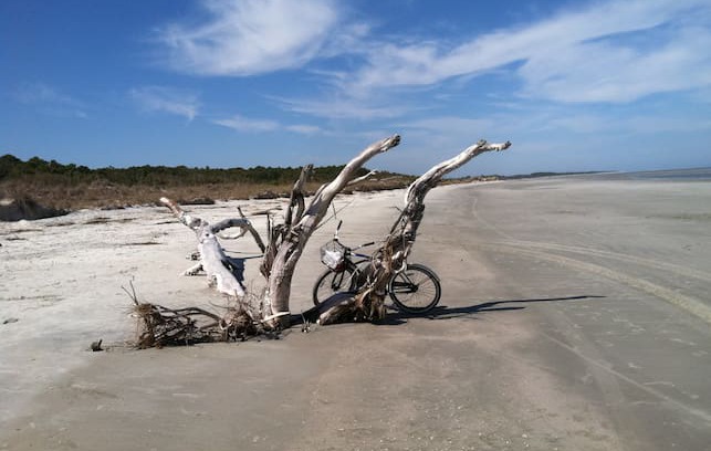 Sapelo Island House | Sapelo Island “Mint” Cottage Birdwatching Paradise
