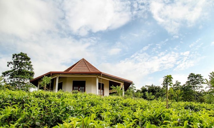 Udapalatha Cabin | The Octagon Retreat and Tea Garden near Kandy.