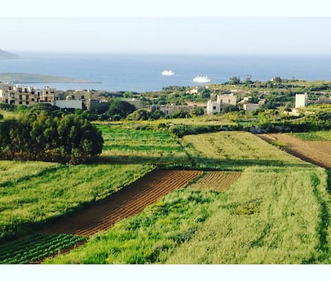 Qala Bed & Breakfast | RabArt-A homely place 1 can stay where Art is born