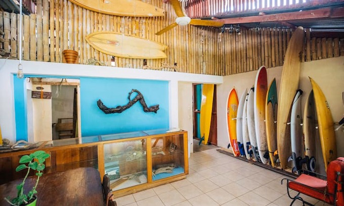 Pavones Bed & Breakfast | SURFHOUSE PAVONES ocean front dorms with a.c