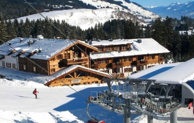 Mittersill Apartment | Panorama Chalet (Apartment top.20)