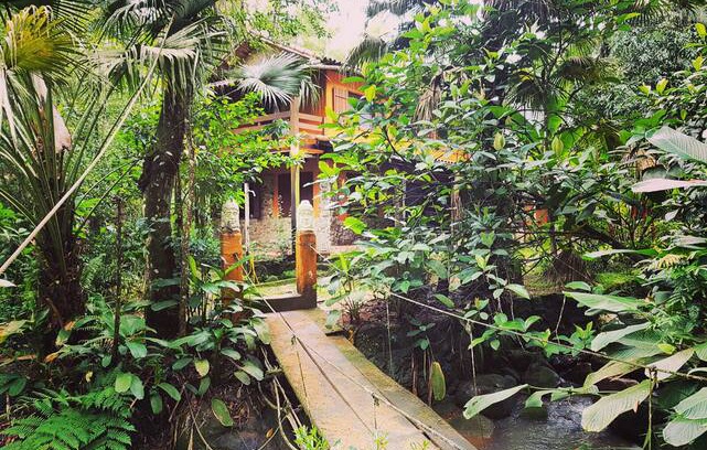 Paraty House | Casa da Floresta - Suíte anexo