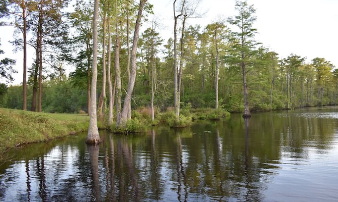 Gatesville House | The Creek House