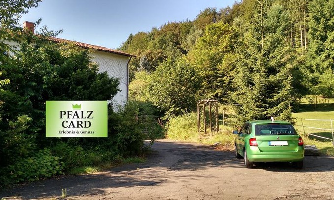 Roderhof Apartment | Röderhof-Pfalz - Im Herzen des Pfälzer Waldes