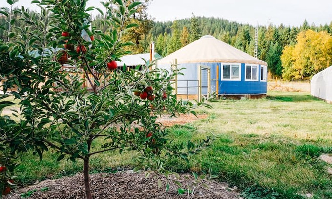 Chewelah Other | Spacious Yurt & Sauna on a Sustainable Farm
