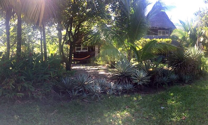 Puerto Barrios House | Cabaña Rio Lagarto