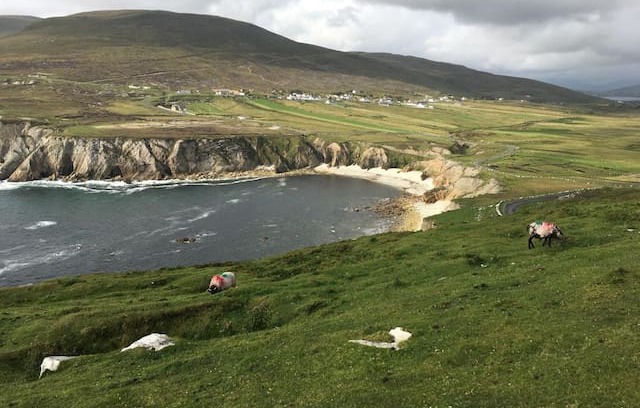 Dooega Bed & Breakfast | Mickey's Bar & Accommodation Room 7 Achill Island