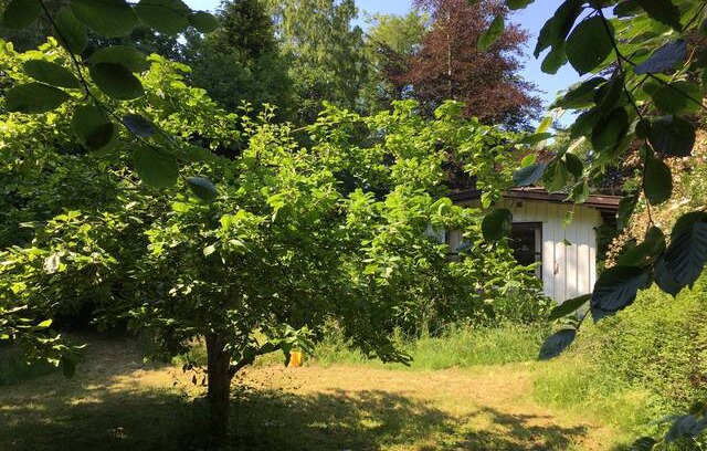 Hornbaek Cabin | SOMMERFERIE I HORNBÆK - sommerhus med sjæl