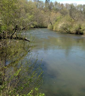 Franklin House | A Great Riverbend Escape