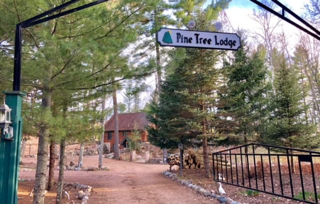 Pickerel Cabin | Pine Tree Lodge