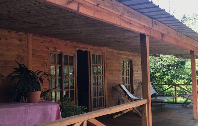 Punta Ballena Cabin | Hermosa cabaña de madera Pta ballena!Entorno único