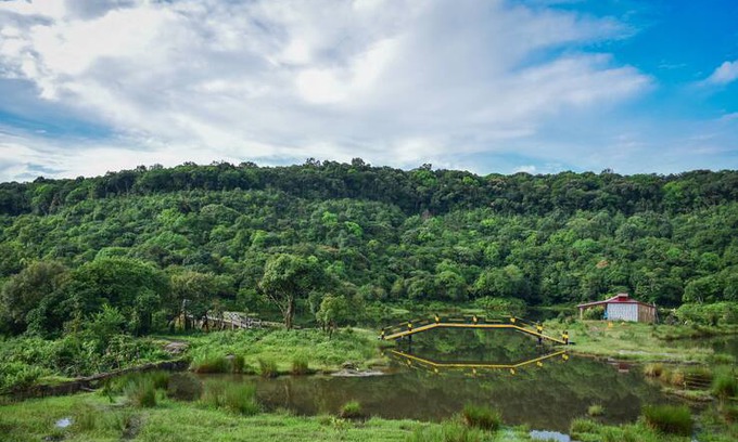 Sohra Other | Encamp Adventures - Weiing forest camping