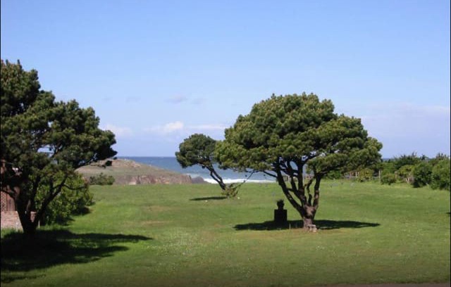 Fort Bragg House | Holly’ s Ocean Meadow and Private Beach