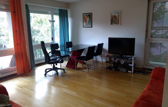 Basel Apartment | Basel Bachletten