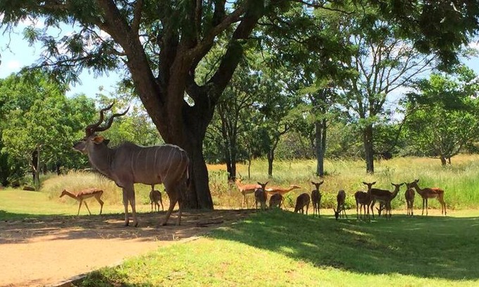 Bulawayo Villa | The Barn