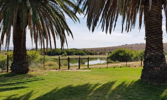 Kleinpoort Other | Rhodene Farms