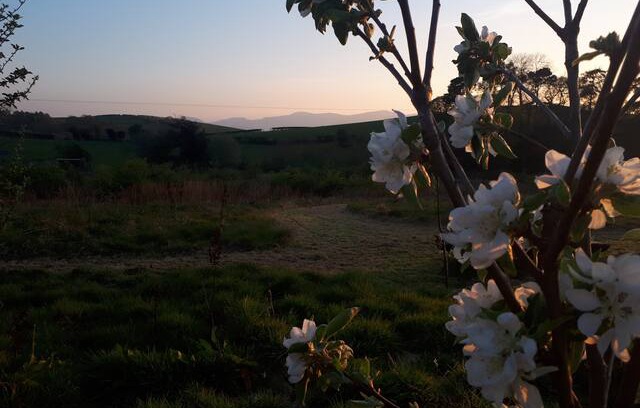 Colwyn Bay Other | Rhos Goch Farm, peaceful camping in Conwy