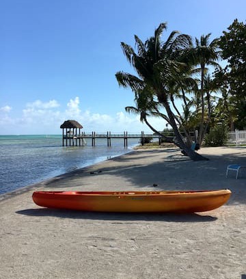 Islamorada House | The Russell Estate, 2 Acrs on OCEAN, tropical 3/2