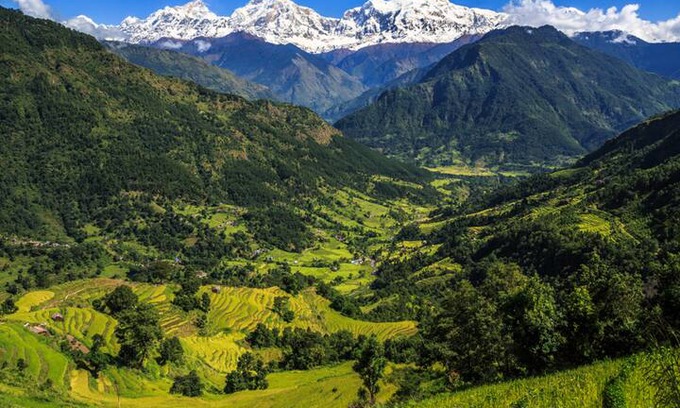 Kathmandu House | Kathmandu, Mt. House - Dhading, Chitwan, Pokhara