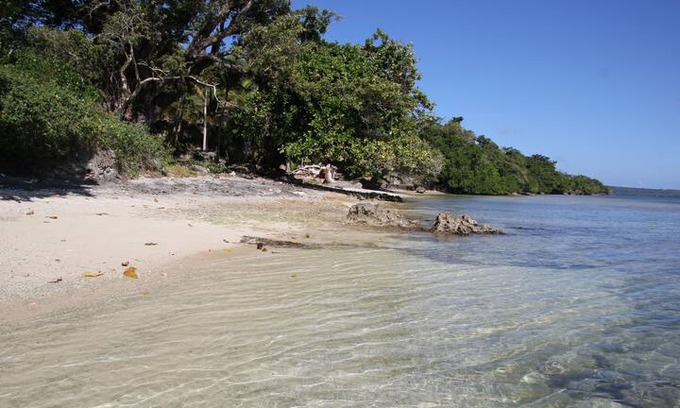 Efate House | CORAL SANDS BEACH BUNGALOWS - MANGO CABIN