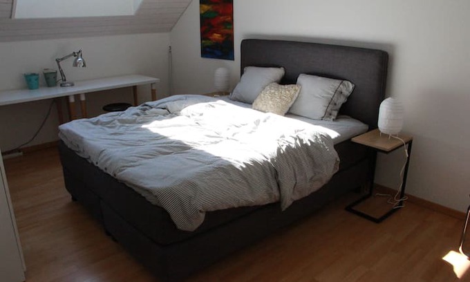 Rotkreuz Apartment | Wunderschönes helles und sehr ruhiges Zimmer