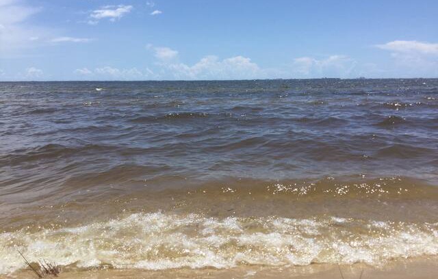 Freeport House | BayHouse. On the Choctawhatchee Bay. Private Beach