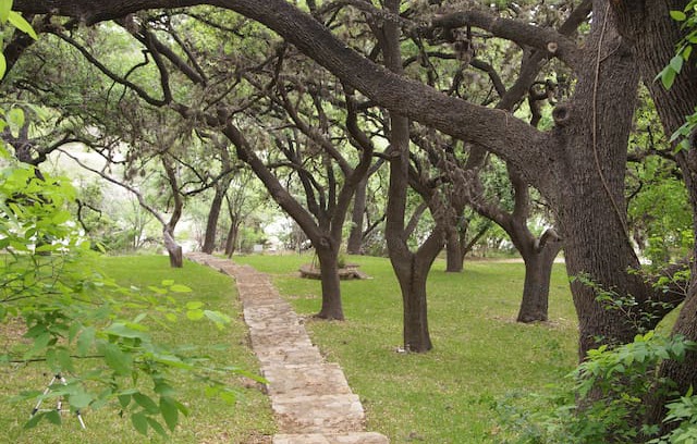 Sabinal Cabin | Buchanan Cabin 31 Frio River Access