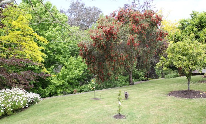 Poraiti House | The Tui's Nest